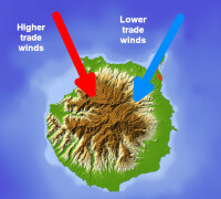 The low and high trade winds